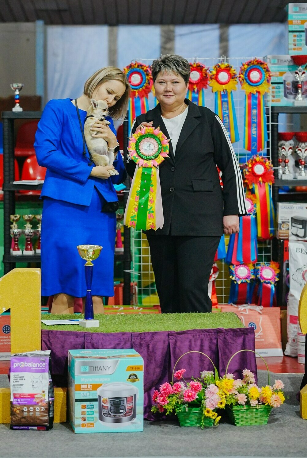 Чихуахуа Вивален