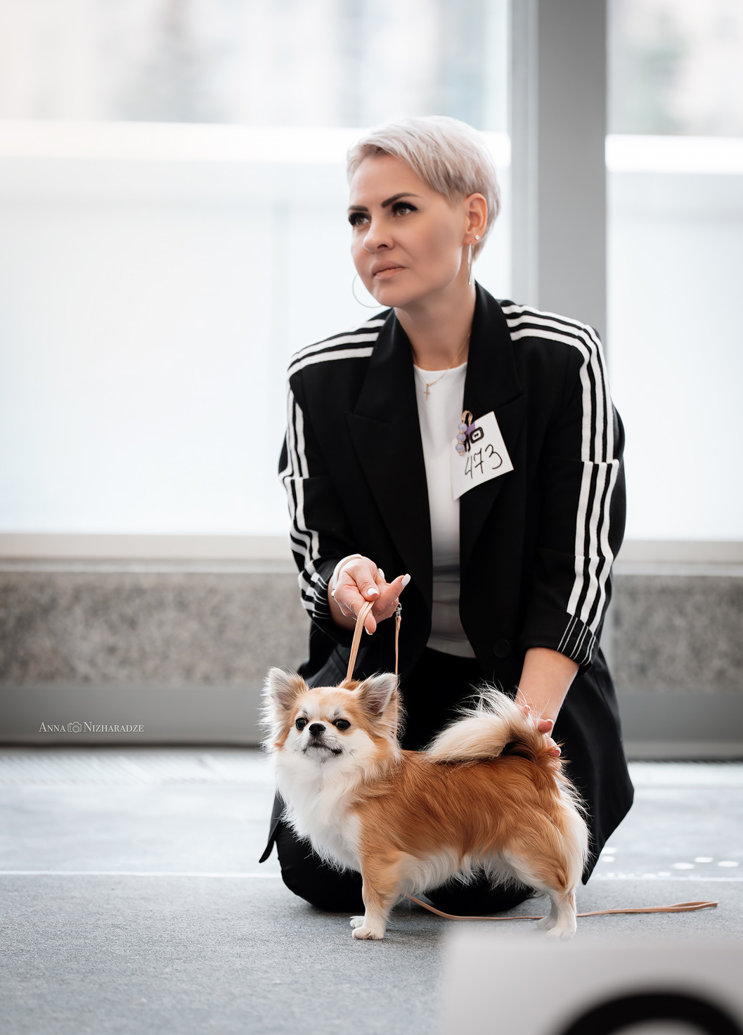 Питомник Чихуахуа и КХС Вивален Краснодар Чихуахуа на выставке