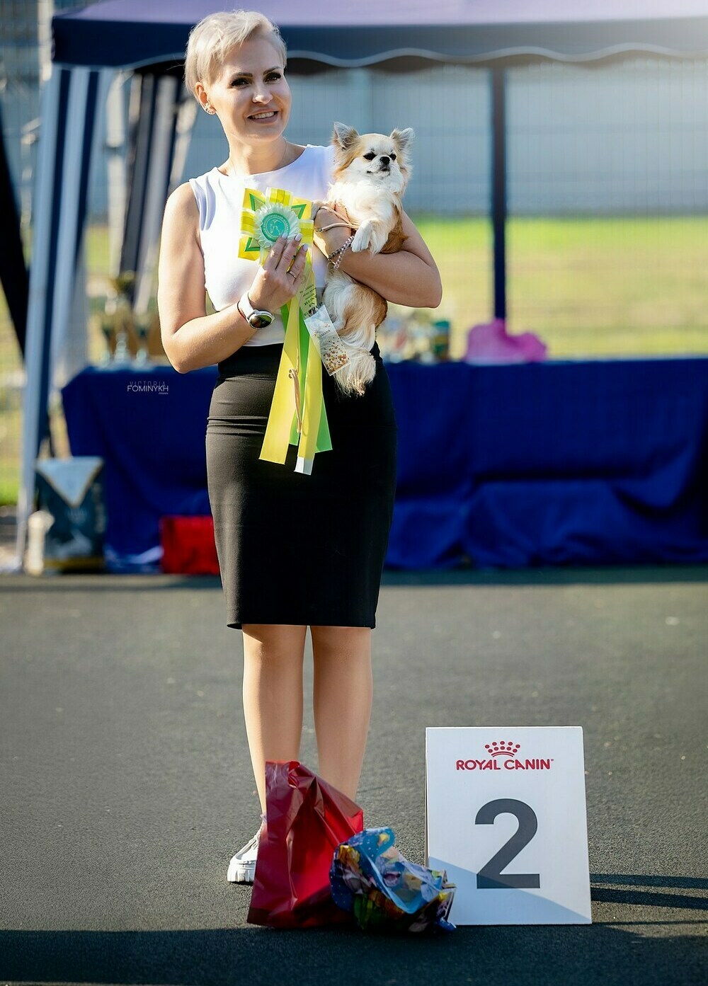 Питомник Чихуахуа и КХС Вивален Краснодар Чихуахуа на выставке