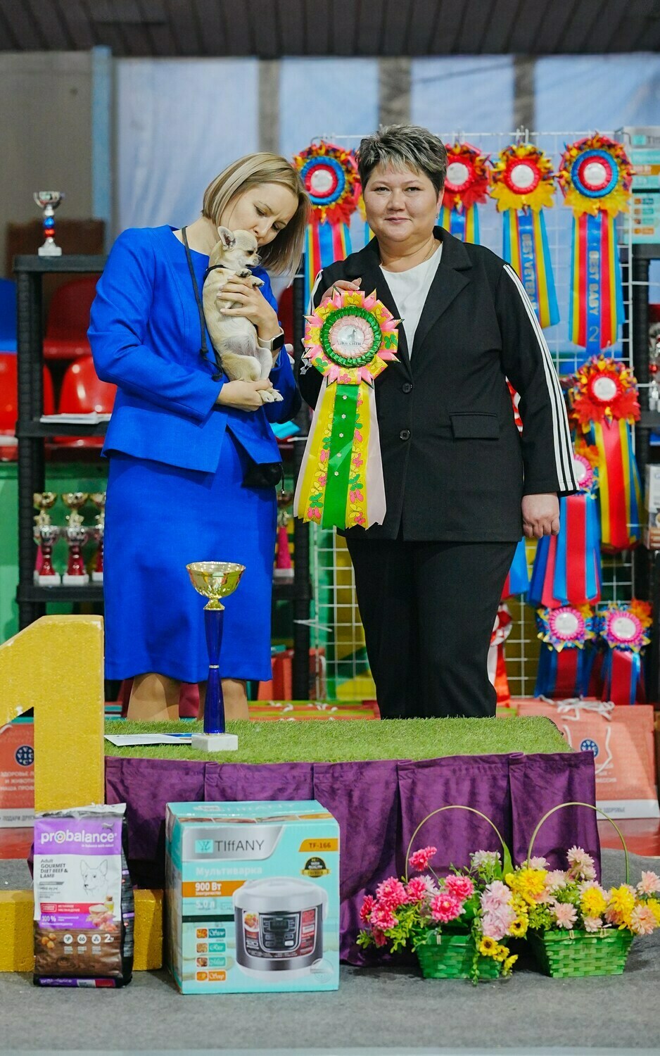 Питомник Чихуахуа и КХС Вивален Краснодар Чихуахуа на выставке